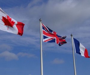 UK, France, and Canada risk undermining Ukraine support by recognizing Palestine – analyst