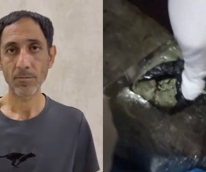 В Сабунчинском районе Баку изъято 5 кг марихуаны