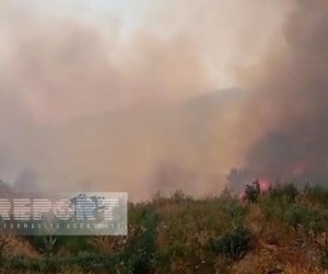 Пожар в горной местности в Агдере перекинулся на лесной массив