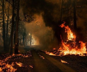 Ağdərə və Qubadlıda baş verən yanğınlar söndürülüb