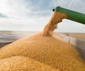 Azerbaijan’s grain imports from Kazakhstan surge 121 times