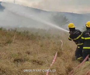 В нескольких селах Газаха горят леса

