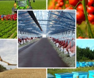 Dörd ildə 2,2 milyard manat kənd təsərrüfatı məhsulları istehsalçılarına subsidiya ödənilib