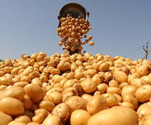 Azerbaijan ranks 107th in the world for potato prices