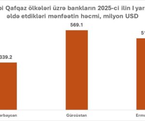 2025-ci ilin 6 ayında Cənubi Qafqazda Gürcüstan bankları ən çox mənfəət qazanıb