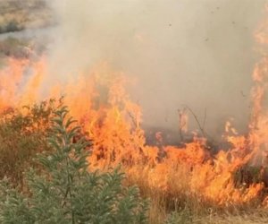 В Агдере от пожара взорвалась мина: есть пострадавший
