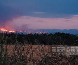 Лесной пожар в Агдере из-за ветра распространился на территорию Агдама
