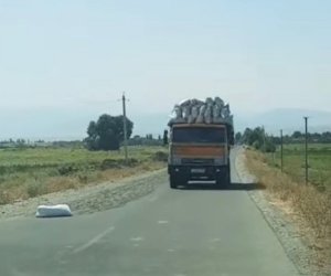 Tərtərdə yola günəbaxan tumları səpən şəxs məsuliyyətə cəlb edilib