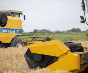 Naxçıvanda fermerlər üçün 320 ton payızlıq taxıl toxumu alınır