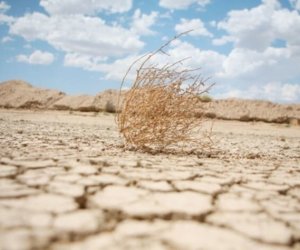 Ermənistan və Gürcüstanda rekord quraqlıq