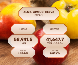 Azərbaycanın alma, armud və heyva ixracı 53,6% artıb