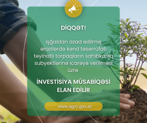 Azad edilmiş ərazilərdə torpaq icarəsi üçün investisiya müsabiqəsinə start verilib