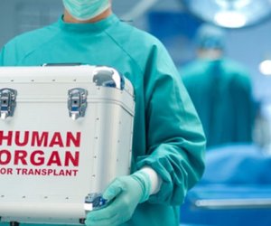 За 8 месяцев 2025 года в Азербайджане было выполнено 203 трансплантации органов