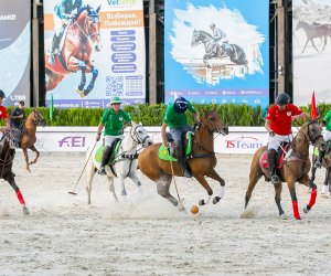 Asiya Çempionatının finalçıları müəyyən olub