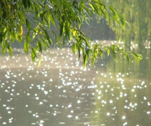 Temperatur 10 dərəcə enəcək, sulu qar yağacaq, dolu düşəcək - Yenilənib