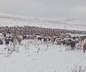 Kəlbəcər və Laçına qar yağıb - Video