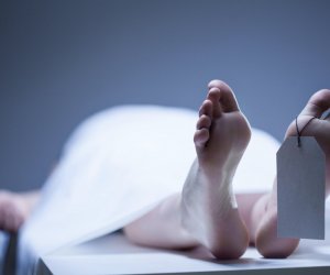 Ötən yeddi ayda ölüm sayı açıqlanıb