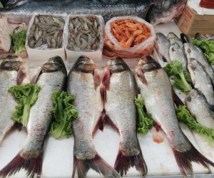 Bakıda balıq yarmarkası fəaliyyətə başlayıb
