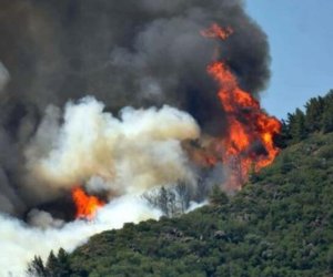 Türkiyədə meşə yanır, təyyarə və helikopterlər cəlb olunub