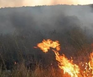 Qızılağac Milli Parkının ərazisində yanğın olub
