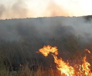 МЧС справилось с пожаром в Гызылагаче