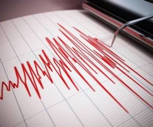 Hindistanda 5,9 maqnitudada zəlzələ baş verib
