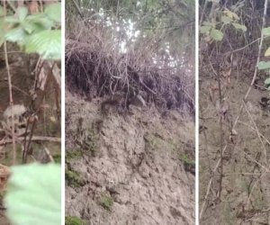 В Губе обнаружены человеческие останки