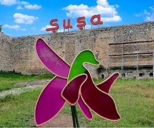 Эксперт: Шуша превращается в дипломатическую арену Азербайджана
