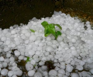 Kəlbəcərə dolu düşüb