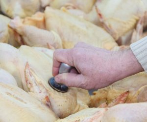 В Азербайджане мясо и птица будут продаваться только с ветеринарным штампом