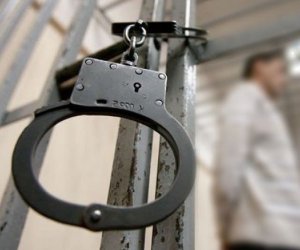 Oğuzda fıstıq ağaclarının qanunsuz kəsilməsi ilə bağlı cinayət işi başlanıb