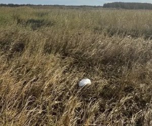 На западе Эстонии обнаружили обломок дрона