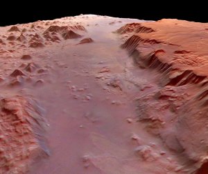 NASA предлагает строить марсианские купола из грибов