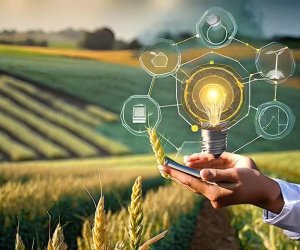 Azerbaijan prepares roadmap for AI application in agricultural sector