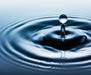 Azerbaijan’s freshwater reserves down 25% in four decades – official