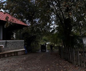 Sım-da yerli sahibkarlara dəstək göstərilir - Agentlik rəsmisi