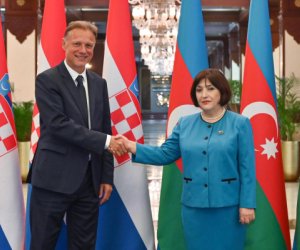 Гафарова встретилась с Яндроковичем
