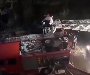 Sumqayıtda yaşayış binasındakı yanğın söndürülüb - Yenilənib
