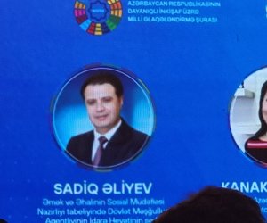 Agentlik müasir peşələri tədris proqramına daxil edib - Sadiq Əliyev