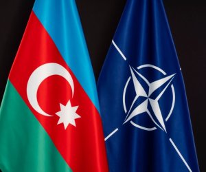 Азербайджан и НАТО обсудили совместные шаги