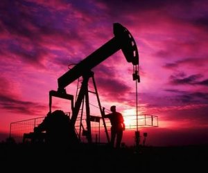 Индия планирует начать добычу нефти в Западной Грузии