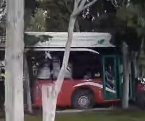 Bakıda BakuBus avtobusu qəzaya uğrayıb, xəsarət alan yoxdur