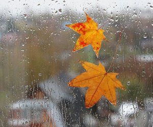 Hava şəraiti ilə bağlı daha bir XƏBƏRDARLIQ Hava şəraiti ilə bağlı daha bir XƏBƏRDARLIQ