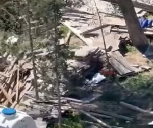 Sumqayıtda ağac kəsilməsi faktı üzə araşdırma aparılır 
Sumqayıtda ağac kəsilməsi faktı üzə araşdırma aparılır