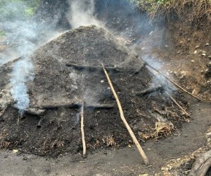 Bu il qanunsuz kömür istehsalı ilə bağlı 218 fakt qeydə alınıb