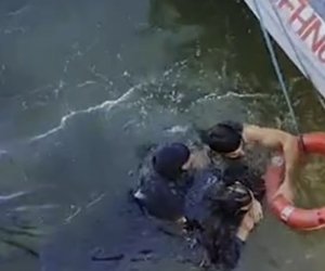 Bulvarda dənizə düşən gənclər xilas edilib - Video