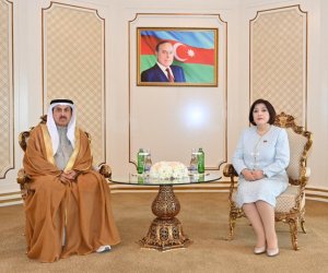 Milli Məclis və BƏƏ Federal Milli Şurasının sədrlərinin görüşü olub