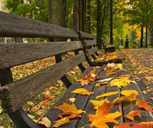 Sabahın hava proqnozu açıqlanıb Sabahın hava proqnozu açıqlanıb