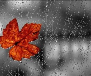 Sabahın hava proqnozu açıqlanıb