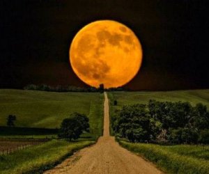 Сегодня ночью можно будет наблюдать редкое Суперлуние